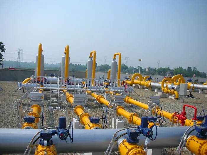 中亚天然气管道向国内输气100.7亿标方左右